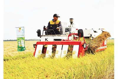 Máy cơ giới trình diễn thu hoạch lúa chất lượng cao, phát thải thấp.