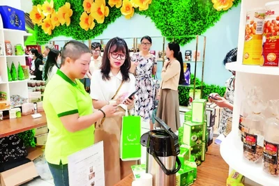 Người tiêu dùng tham quan, mua sắm các sản phẩm thân thiện với môi trường trưng bày tại Trung tâm Xúc tiến Thương mại và Đầu tư Thành phố Hồ Chí Minh.