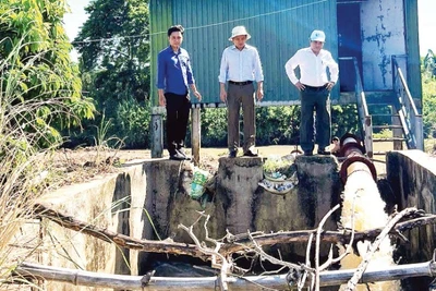 Công ty trách nhiệm hữu hạn một thành viên Quản lý công trình thủy lợi Đắk Lắk hỗ trợ máy bơm bơm nước chống hạn cho cây trồng trên địa bàn huyện Lắk.