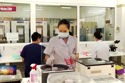 Ứng dụng ghép tế bào gốc điều trị các bệnh về máu