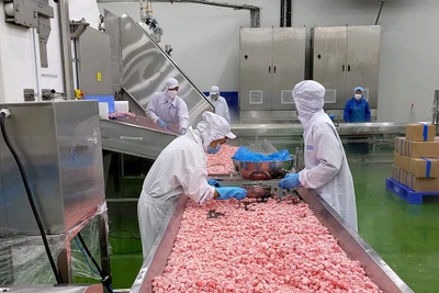 Nhân viên chế biến dưa hấu tại Công ty cổ phần công nghiệp thực phẩm Thabico Tiền Giang (huyện Chợ Gạo, tỉnh Tiền Giang). (Ảnh NGUYỄN SỰ)