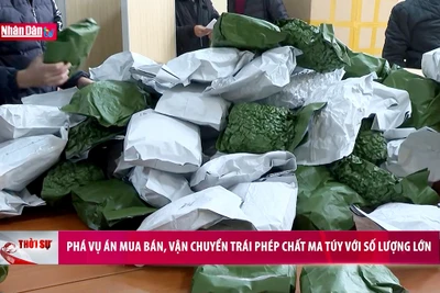 Phá vụ án mua bán, vận chuyển trái phép chất ma tuý với số lượng lớn