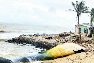 Bờ biển Hội An bị sóng đánh sạt lở.