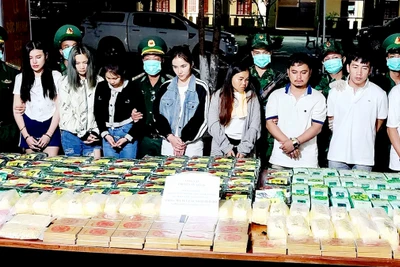 Chuyên án A424.4p, bắt 8 đối tượng người Lào, thu 198 kg ma túy các loại, 1 xe ô-tô.