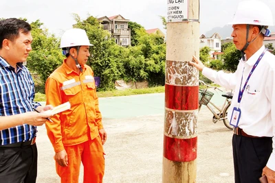 Một trong số cột điện ở giữa tuyến đường Bái Ðính-Ba Sao giai đoạn 2 đang được các cơ quan chức năng lên phương án di dời. (Ảnh Phương Thảo)