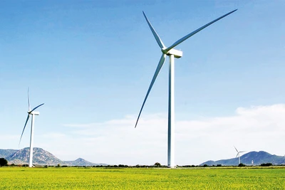 Điện gió Ninh Thuận. Ảnh: VĂN GIANG