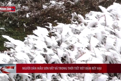 Người dân Mẫu Sơn vất vả trong thời tiết rét đậm rét hại