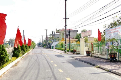 Huyện Yên Khánh lắp đặt 250km đường điện chiếu sáng, trồng 203km đường hoa, cây xanh trên các trục đường và ở các khu dân cư tạo cảnh quan. (Ảnh Anh Tuấn)