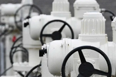 Ảnh minh họa. (Nguồn: AFP/TTXVN)