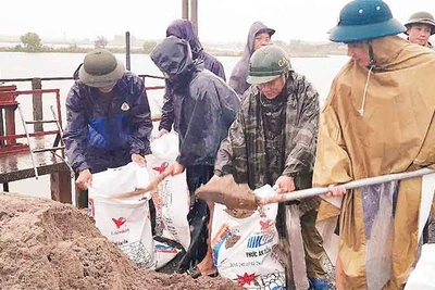 Lực lượng chức năng huyện Quốc Oai khắc phục hậu quả mưa lũ. (Ảnh QUỐC PHƯƠNG)