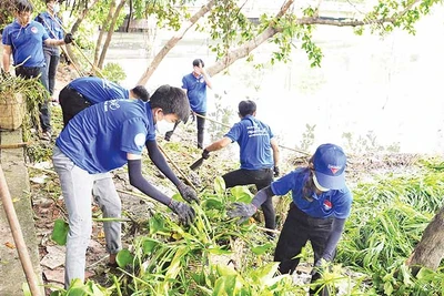Tuổi trẻ thành phố tham gia hoạt động dọn vệ sinh môi trường. (Ảnh CTV)