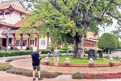 Cây me trong Bảo tàng Quang Trung vẫn bền bỉ sức sống qua bao thăng trầm của lịch sử.