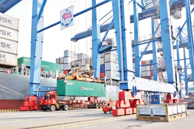 Vận chuyển hàng hóa xuất, nhập khẩu tại cảng Cát Lái (thành phố Thủ Đức, Thành phố Hồ Chí Minh).