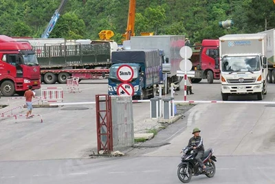 Trạm bốc xếp hàng hóa xuất, nhập khẩu tại Cửa khẩu quốc tế Hữu Nghị của Công ty cổ phần Hữu Nghị Xuân Cương.