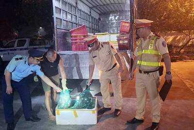 Lực lượng chức năng tỉnh Quảng Ninh phát hiện, bắt giữ vụ vận chuyển thực phẩm không rõ nguồn gốc.