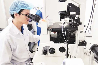 Hoạt động nghiên cứu khoa học tại Đại học Quốc gia Thành phố Hồ Chí Minh.