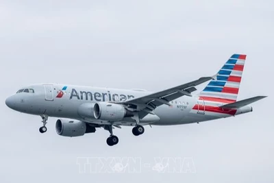 Máy bay của hãng hàng không American Airlines hạ cánh xuống sân bay Ronald Reagan Washington, Mỹ ngày 24/12/2024. (Ảnh: THX/TTXVN) 