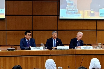 Tham vấn thông tin và chuẩn bị việc phê chuẩn, thực thi Công ước Liên hợp quốc về chống tội phạm mạng 