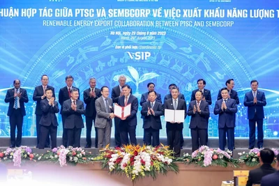 Điện gió ngoài khơi - Động lực mới cho ngành dầu khí Việt Nam phát triển bền vững 