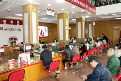 Khách hàng giao dịch tại chi nhánh Ngân hàng Agribank.