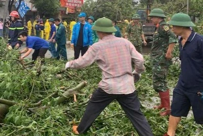 Lực lượng chức năng trên địa bàn quận Long Biên xử lý cây xanh bị gãy, đổ.