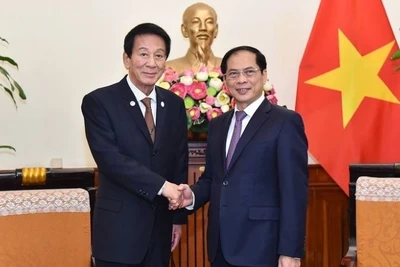 Bộ trưởng Ngoại giao Bùi Thanh Sơn tiếp nguyên Đại sứ Đặc biệt Nhật Bản-Việt Nam Sugi Ryotaro. (Ảnh: TTXVN)