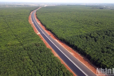 Cao tốc Phan Thiết-Dầu Giây trước thời điểm hoàn thành 1 tháng. (Ảnh: Thiên Vương)