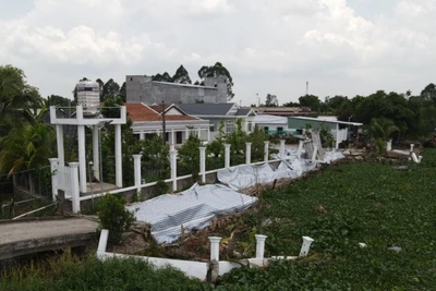 Hiện trạng sạt lở tại Vàm Cỏ Tây (khu vực đê bao liên ấp Bến Kè, Nước Trong, Voi Đình, xã Thủy Đông, huyện Thạnh Hóa) đang lập phương án khắc phục. 