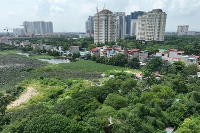 Vị trí đặt depot tuyến đường sắt đô thị số 2, đoạn Nam Thăng Long-Trần Hưng Đạo, hiện là đầm sen, phường Xuân Đỉnh, quận Bắc Từ Liêm.