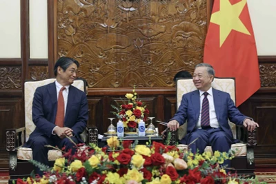 Chủ tịch nước Tô Lâm tiếp Đại sứ Nhật Bản tại Việt Nam Ito Naoki. Ảnh: TTXVN