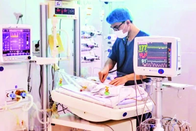 Khoa hồi sức trẻ sơ sinh cực non (Bệnh viện Nhi Thái Bình) đi vào hoạt động từ tháng 1/2025.