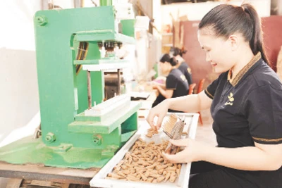 Cơ sở sản xuất dó trầm Tâm Thiên Hương huy động tối đa nhân lực, nguyên liệu để sản xuất phục vụ thị trường dịp Tết.