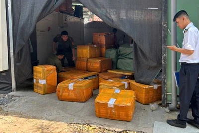 Đoàn kiểm tra phát hiện số lượng lớn thực phẩm không rõ nguồn gốc, xuất xứ.