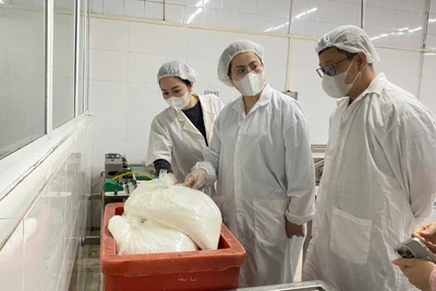 Đoàn công tác số 3 về an toàn thực phẩm của thành phố Hà Nội kiểm tra xưởng sản xuất của Công ty TNHH chế biến thực phẩm Đông Đô.