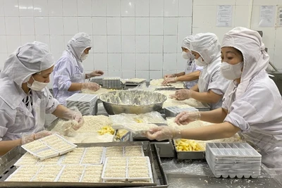 Sản xuất tại Công ty TNHH Chế biến thực phẩm Đông Đô. (Ảnh: Nguyên Trang)