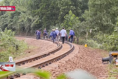Đồng loạt thi công 3 dự án cải tạo nâng cấp đường sắt Bắc - Nam
