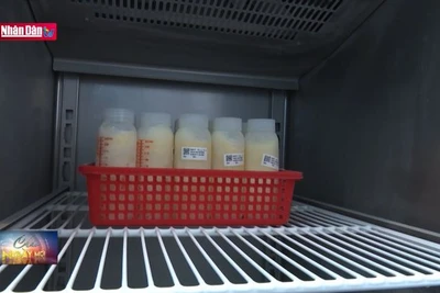 Hiệu quả từ Ngân hàng Sữa mẹ vệ tinh