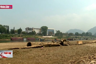 Mực nước sông Lô qua TP Tuyên Quang xuống mức thấp kỷ lục