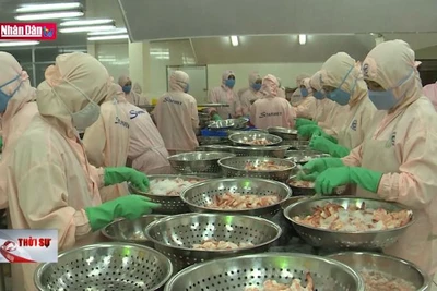 Bảo vệ và khai thác nguồn lợi thủy sản bền vững