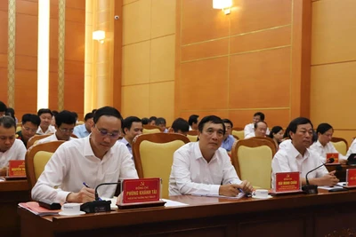 Các đại biểu tham dự hội nghị.