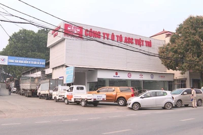 Tình trạng quá tải tại trung tâm đăng kiểm xe cơ giới 19-01V.