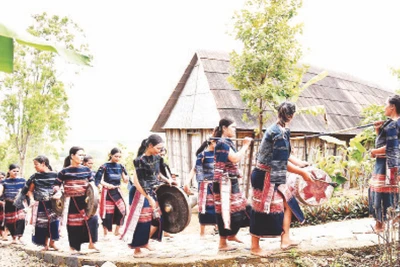 Gia Lai dành 16,4 tỷ đồng bảo tồn văn hóa cồng chiêng