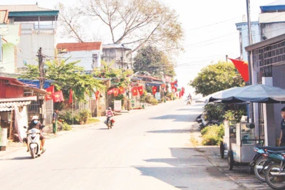Đường giao thông nông thôn ở huyện Định Hóa được bê-tông hóa, góp phần hoàn thành tiêu chí xây dựng nông thôn mới.