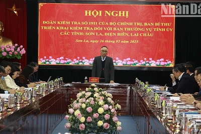 Hội nghị công bố Quyết định kiểm tra của Bộ Chính trị.