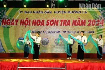 Một tiết mục văn nghệ của đồng bào dân tộc Thái tại ngày hội hoa sơn tra năm 2024 tại xã Ngọc Chiến.