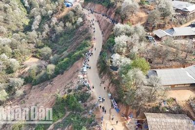 Ngày hội hoa Sơn tra xã Ngọc Chiến, huyện Mường La năm nay thu hút đông đảo du khách, người dân trong và ngoài tỉnh tham dự.