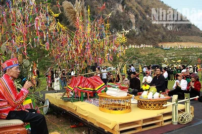 Thầy chủ lễ đang làm lễ cầu xin ông Then cho mưa thuận, gió hòa... dưới cây vạn vật linh thiêng.