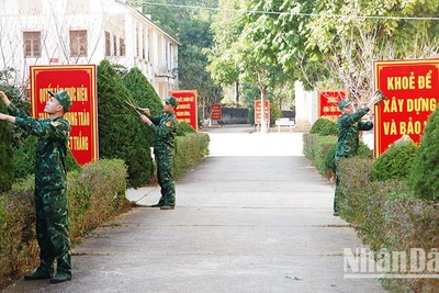 Cán bộ, chiến sĩ Tiểu đoàn Huấn luyện-Cơ động cắt tỉa cây cảnh, tạo cảnh quan môi trường xanh, sạch, đẹp.