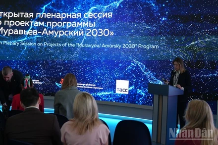 Một phiên họp trong khuôn khổ EEF-2025. (Ảnh: XUÂN HƯNG)