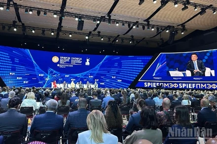 Phó Thủ tướng Chính phủ Lê Thành Long tham dự Phiên khai mạc Diễn đàn Kinh tế quốc tế Saint Petersburg lần thứ 28. (Ảnh: THUỲ VÂN)